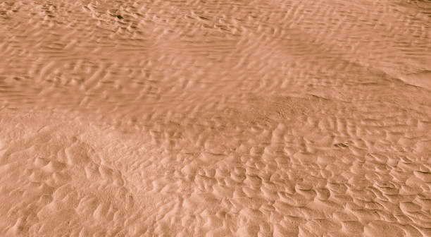 istock Camel color. Desert. Modern and contemporary wallpaper for interior design. Background and Texture 669638776
