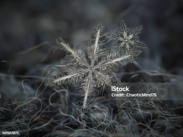 Two Snowflakes Glitters On Dark Gray Fibers Of Wool Background Stock Photo - Download Image Now