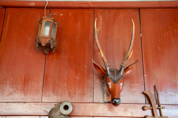 istock Wooden deer head on wall 669655664