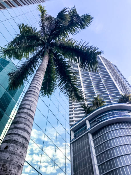 istock Miami Downtown, Florida, USA 669674602