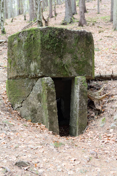 istock Abandoned fortification line Arpad since World War II. Ukraine 669681022