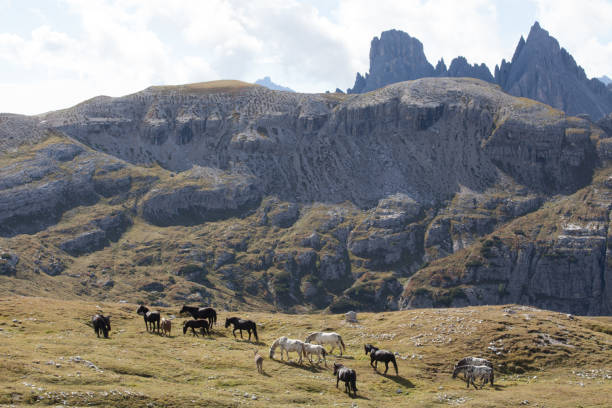 istock Hiking in the Dolomites with light and shadows 669681512