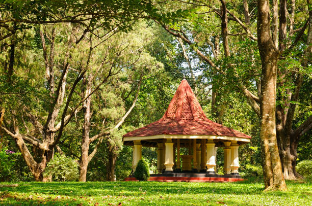 istock Covered lightweight gazebo in the garden for relaxation 669681862