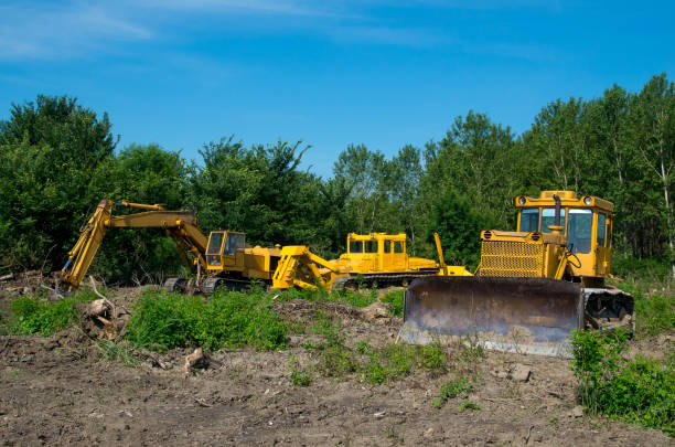 escavatore e bulldozer sgombero terreni forestali. attrezzature pesanti. - territorio foto e immagini stock