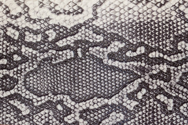 istock Genuine leather texture with imitation of exotic reptile with a matte surface, trendy background. Ideal for clothing and bags. Concept of shopping, manufacturing 669685532