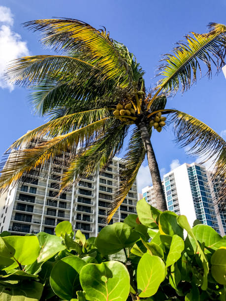 istock Hotels and Condominiums on Miami Beach, Florida, USA 669692020
