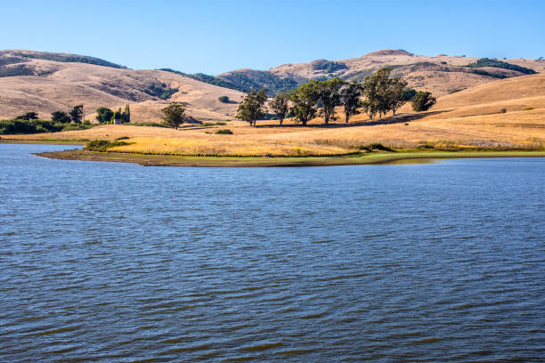 Nicasio water Nicasio Reservoir is a shallow, artificial reservoir in the Nicasio Valley region of Marin County, California. petaluma stock pictures, royalty-free photos & images