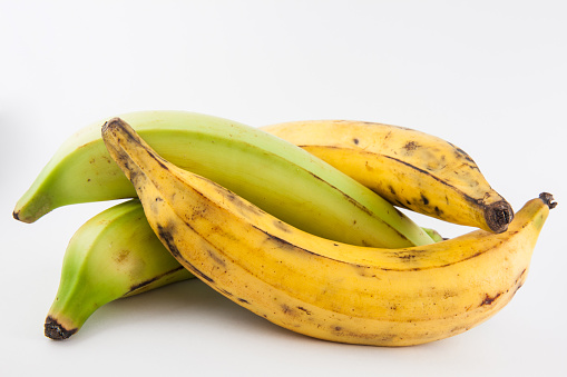 Plantain or Green Banana (Musa x paradisiaca) isolated in white background