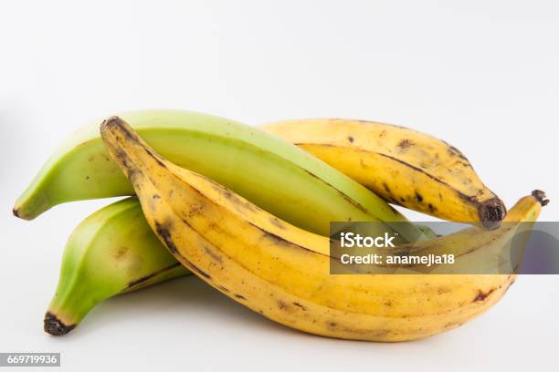 Plantain Or Green Banana Stock Photo - Download Image Now - Plantain, Banana, White Background