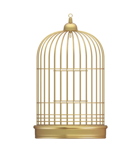 istock Golden Birdcage Isolated 669720012