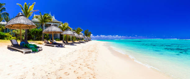 Serene tropical holidays - perfect white sandy beaches of Mauritius island white sandy beach and turquoise sea of Mauritius island beach hut stock pictures, royalty-free photos & images