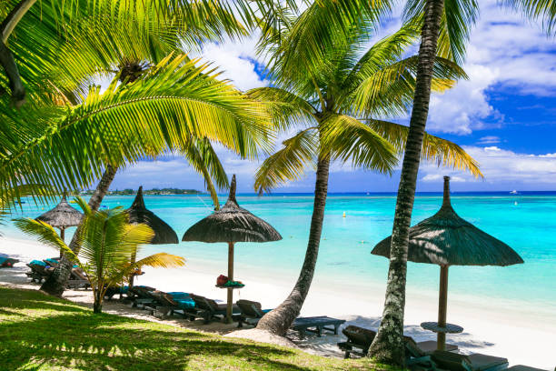 istock Relaxing tropical scenery -beauti palm beach in Mauritius island 669720362