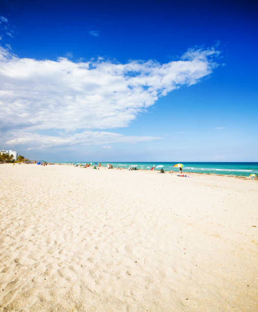 istock Hollywood beach Florida landscape sunny Winter day 669722860