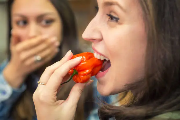 Photo of Biting chilli pepper.