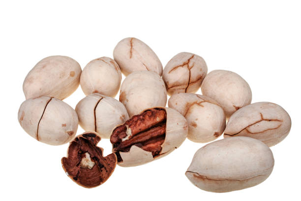 Pile of pecan nuts isolated on white background stock photo