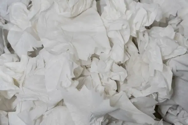 Photo of Paper Towels in Trash Can