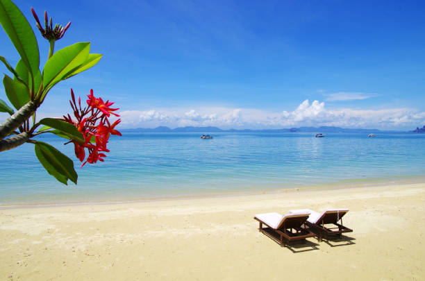 istock beach and tropical sea 669743984