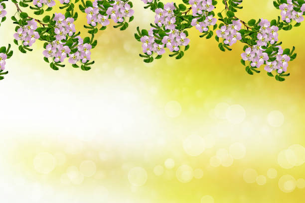 istock Bright and colorful flowers 669744810