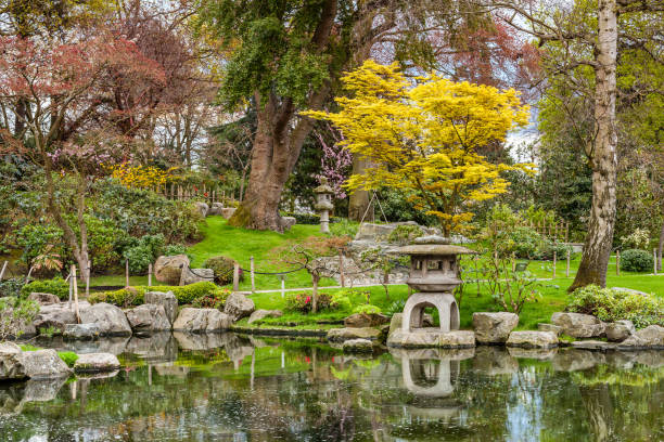 istock Holland park, London 669755556