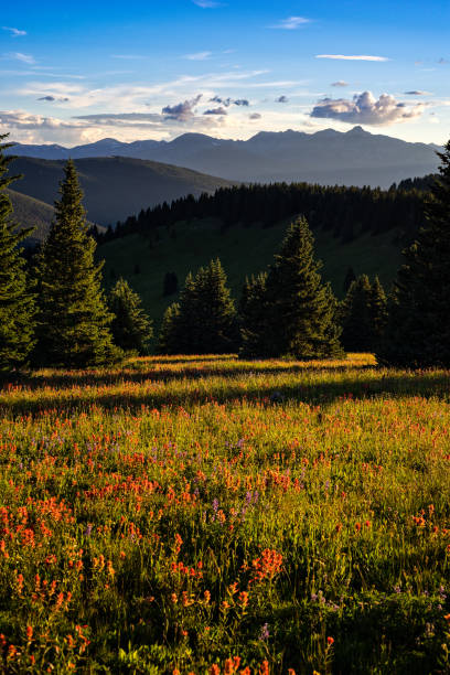 istock Scenic Mountain View with Wildflower Meadow 669761058