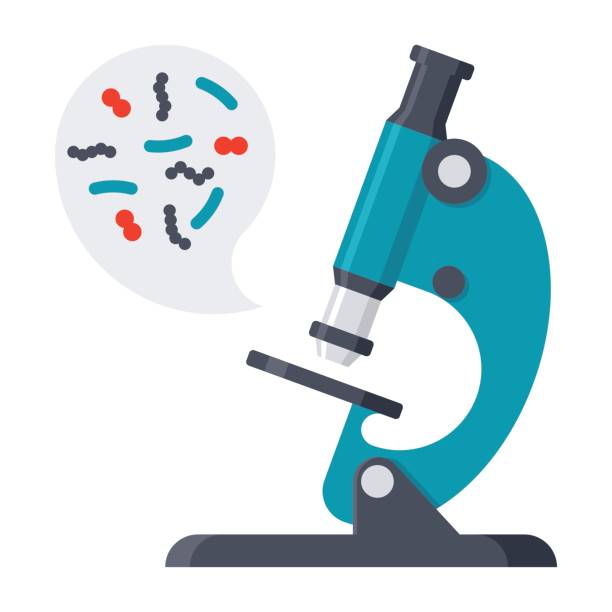 Scientific Research Vector Icon Scientific research concept with microbes in microscope, vector illustration in flat style magnification stock illustrations
