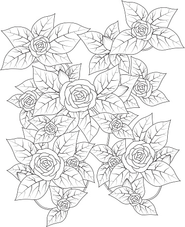 Black And White Pattern For Adult Coloring Book Stock Illustration ...