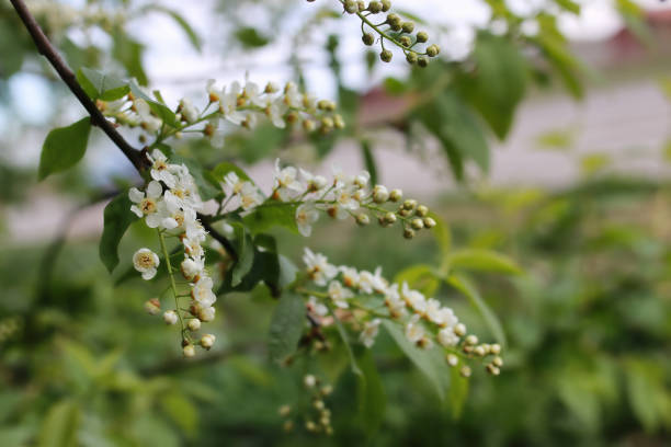 various objects of the spring season in the best of this wonderful period