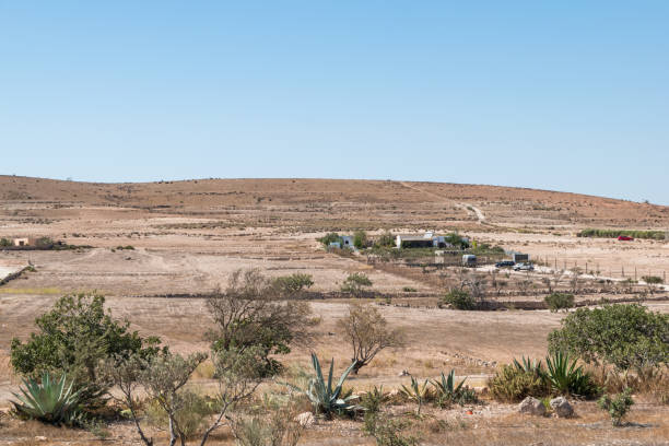 istock desert landscape on a sunny day 669771826