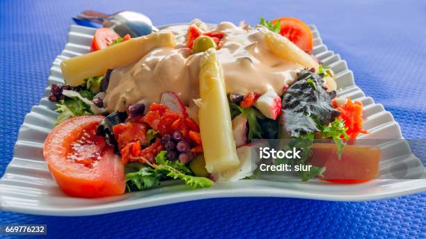 Dish With Mixed Vegetable Salad And Octopus With Many Colorful And Topped By An Olive Plato Con Ensalada Variada Vegetal Y Pulpo Con Mucho Colorido Y Coronada Por Una Aceituna Stock Photo - Download Image Now