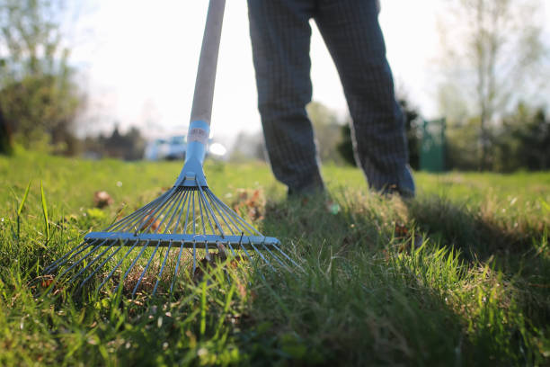 istock rakes to collect old grass 669776312