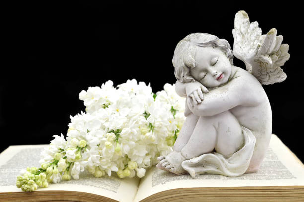istock Angel and white spring flowers on the old book 669779966