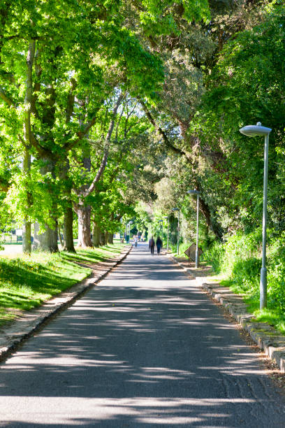 istock Path through a park in Malahide, Fingal County, Ireland 669789886