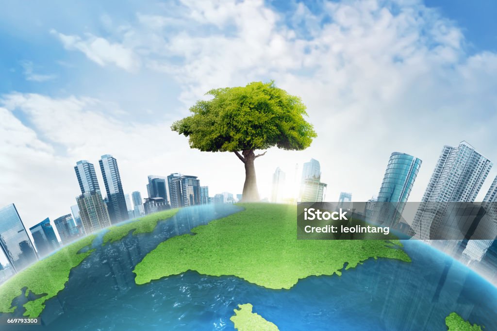 The big tree growing between modern building The big tree growing between modern building on top of the earth Environmental Conservation Stock Photo