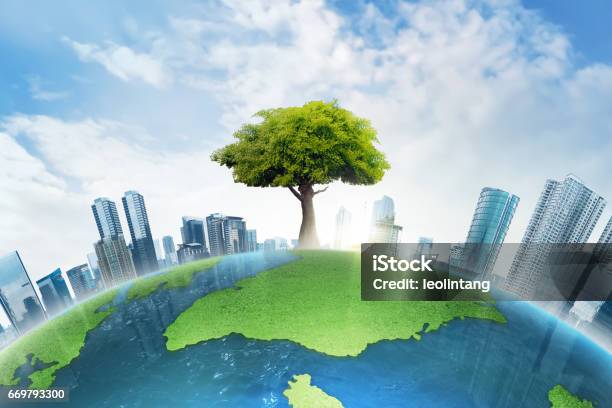 The Big Tree Growing Between Modern Building Stock Photo - Download Image Now - Environmental Conservation, City, Green Color