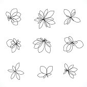 istock set of line style floral icon 669801302