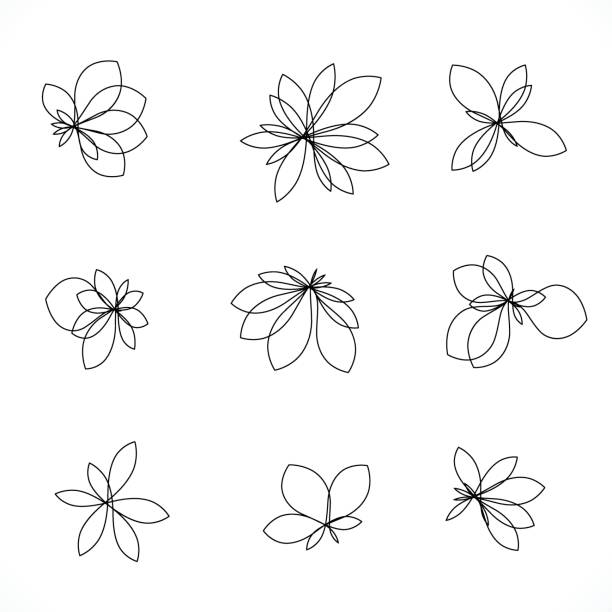 set of line style floral icon