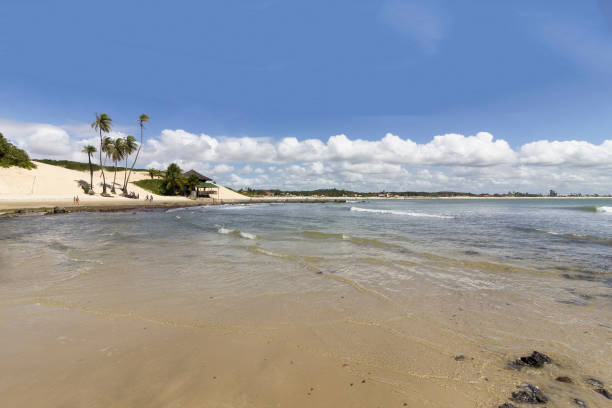 istock Genipabu dunes and beach 669825114