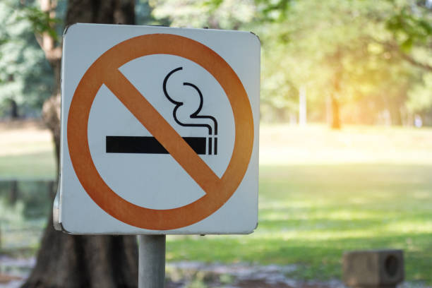 istock no smoking metal sign in the park. 669839302