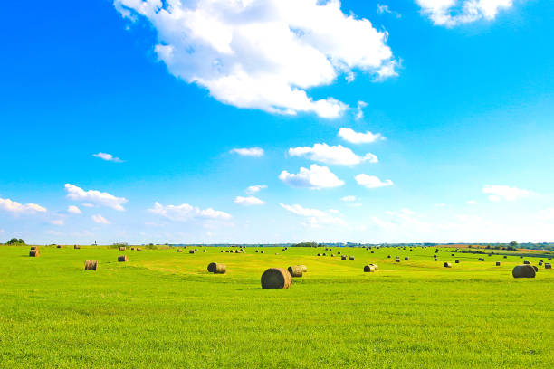 kansas flat land haystacks - mucchio di fieno foto e immagini stock