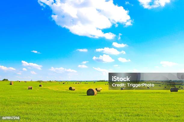 Kansas Flat Land Haystacks Stock Photo - Download Image Now - Kansas, Landscape - Scenery, Environmental Conservation