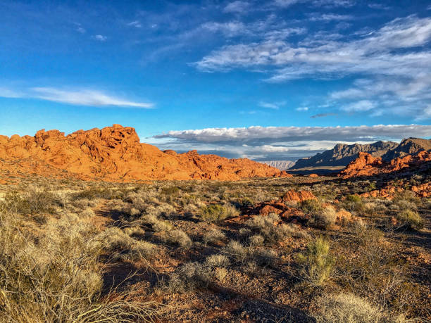 istock The unique red sandstone rock formations 669851320