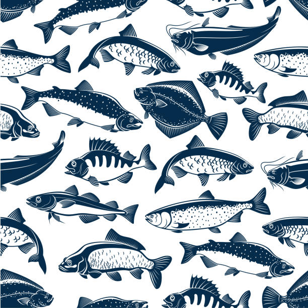 Fishes sketch seamless vector pattern Fish seamless pattern of vector fishes. Fishing catch of tuna, pike and marlin or perch, bream, salmon and flounder or crucian, carp and mackerel sprat, sheatfish or catfish for seafood restaurant fish designs stock illustrations
