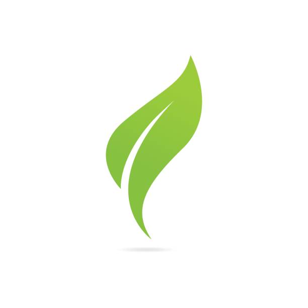 エコアイコングリーンリーフベクトルイラストレーション絶縁ます。 - seedling tree plant green点のイラスト素材／クリップアート素材／マンガ素材／アイコン素材