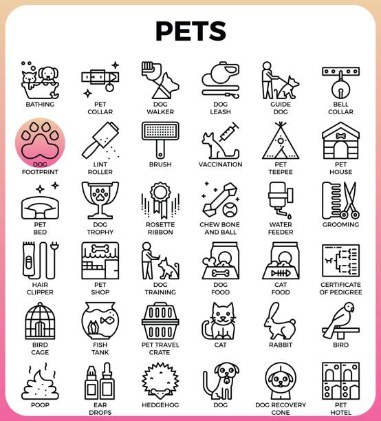 домашние животные концепции подробные иконки линии - filter feeder stock illustrations
