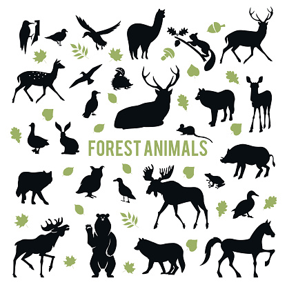 Collection of silhouettes of forest animals isolated on white background.