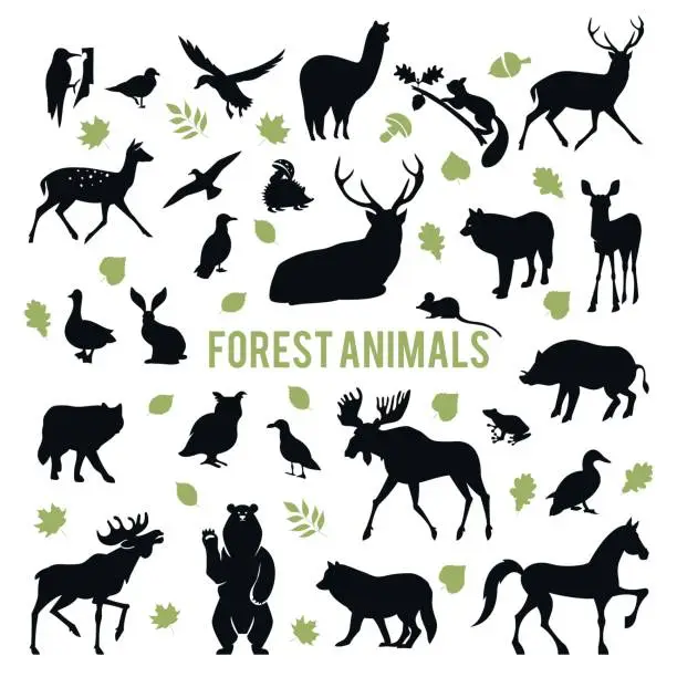 Vector illustration of Silhouettes of the forest animals.