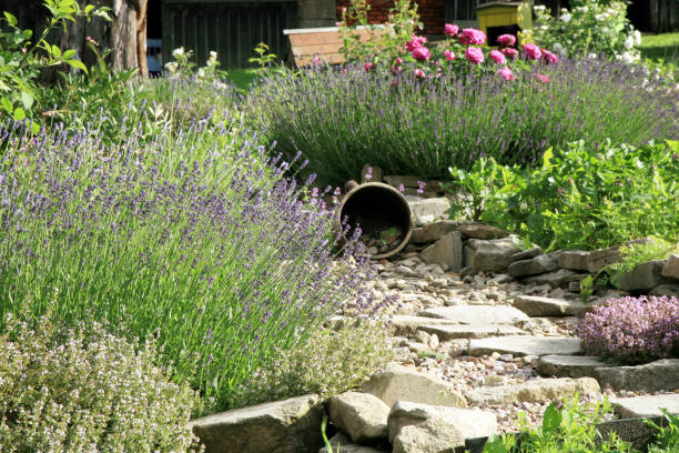 istock Country home garden by rustic style. 669873124