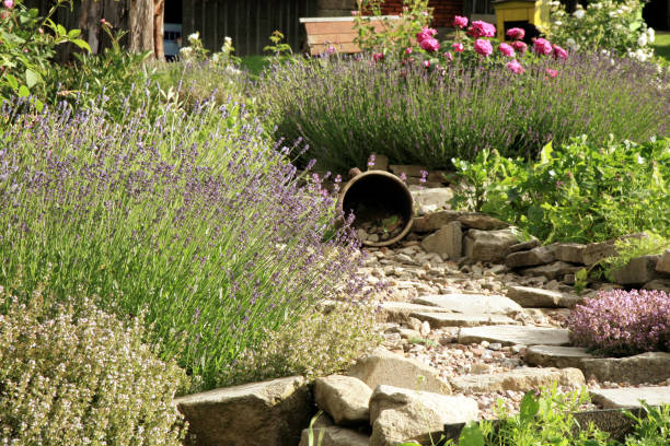 istock Country home garden by rustic style. 669873138