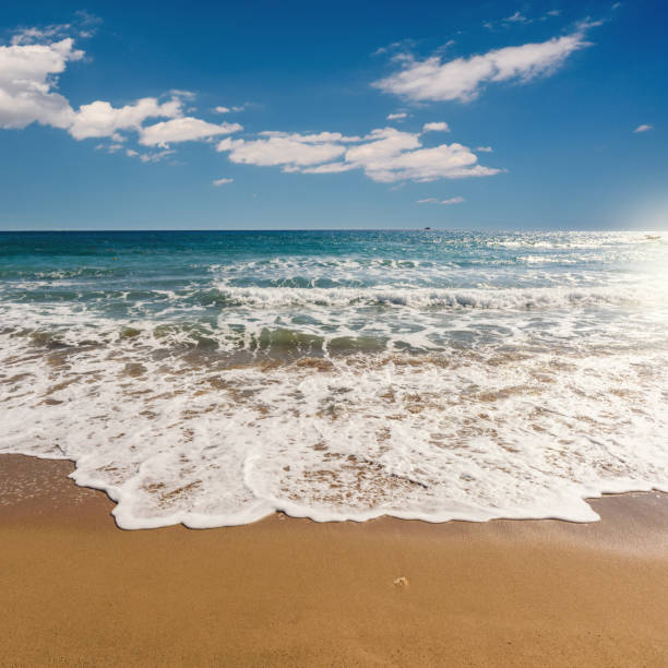 istock Tsambika beach postcard, Rhodes 669877130