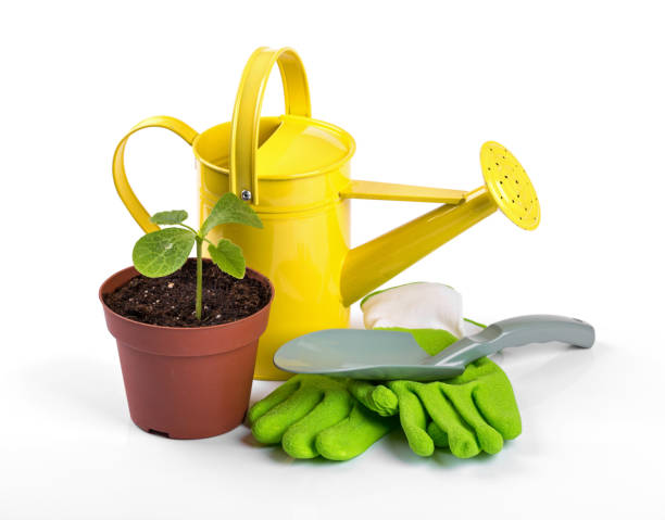 istock gardening tools and potted plant isolated on white background 669890786